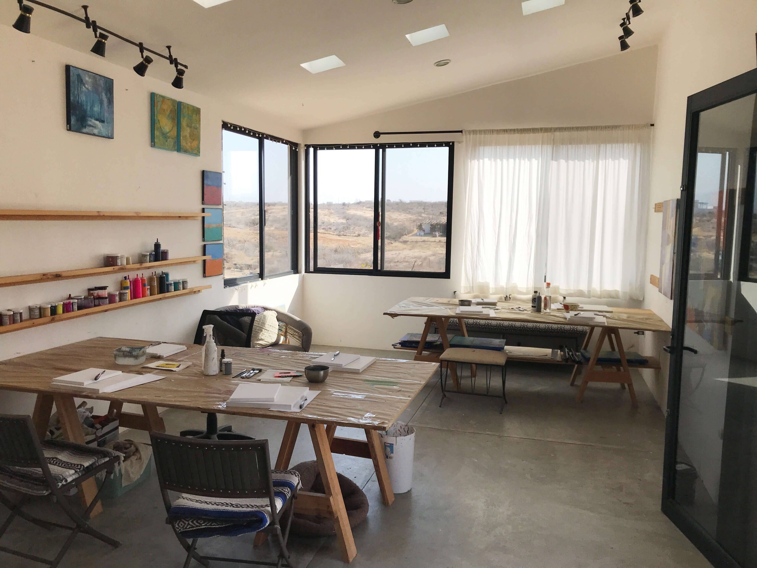 Art Painting Classes in Todos Santos Nancy Joyce